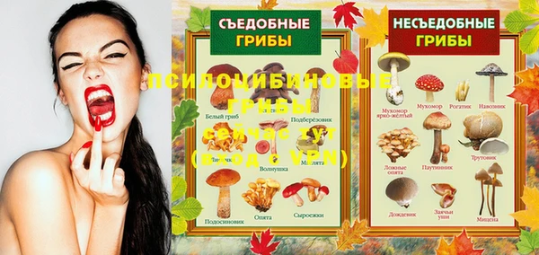ПСИЛОЦИБИНОВЫЕ ГРИБЫ Алзамай