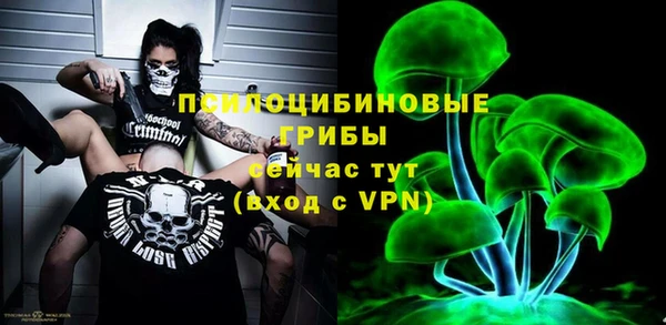 ПСИЛОЦИБИНОВЫЕ ГРИБЫ Алзамай